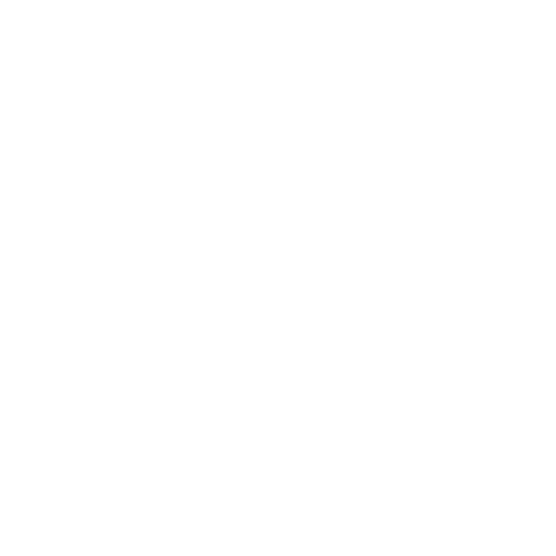 Sly Design Logo